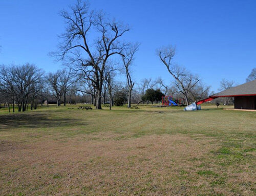 Greenspace Acreage in Fort Bend County